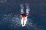 DEE WAVERIDER